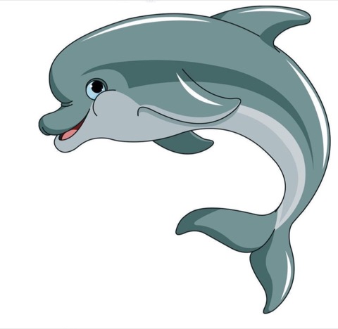 Dolphin mascot